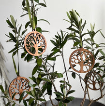 Load image into Gallery viewer, Olive Wood Decorations