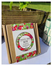 Load image into Gallery viewer, DIY Kids Veggie Bomb Kit
