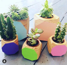 Load image into Gallery viewer, Plants

